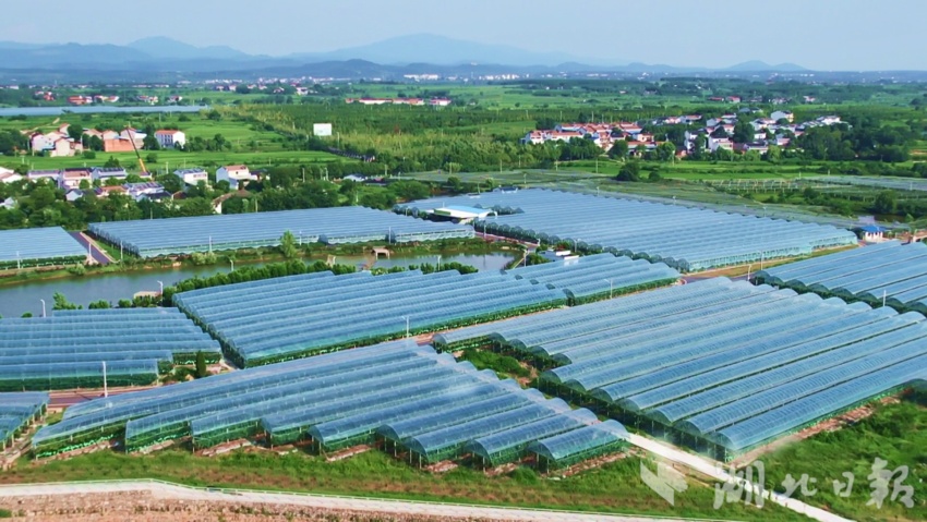 金山游戏官网